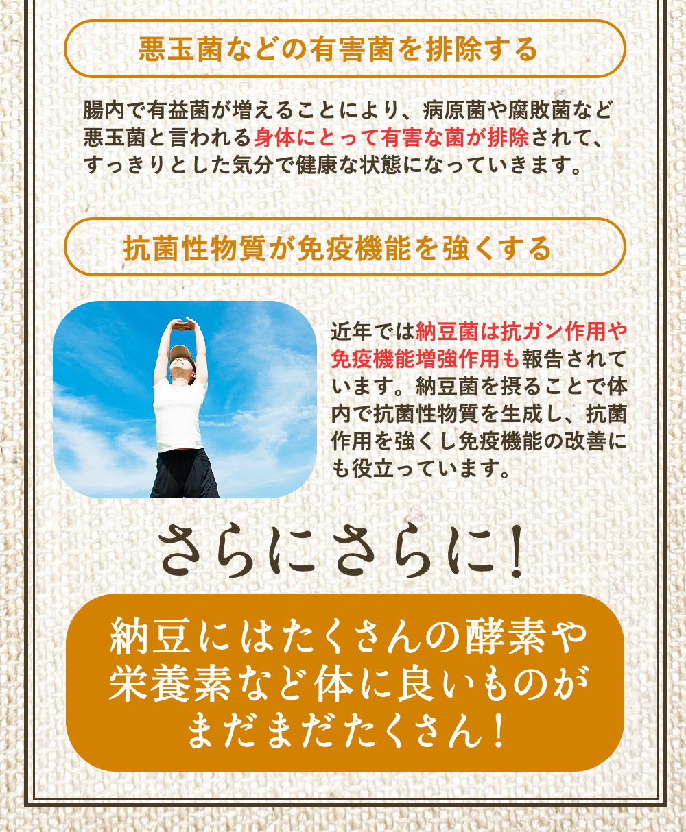 乾燥納豆17